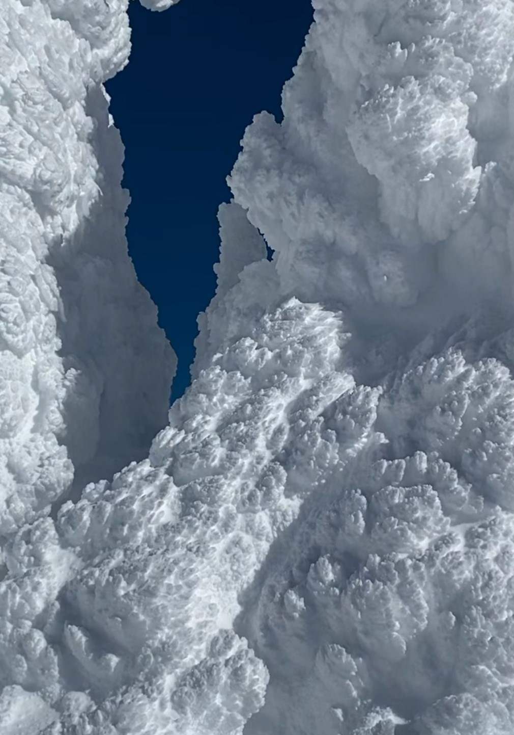 蔵王山の怪獣(樹氷)たちは順調に成長しています | マウンテン